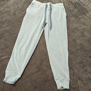 Velvety Light Blue Joggers